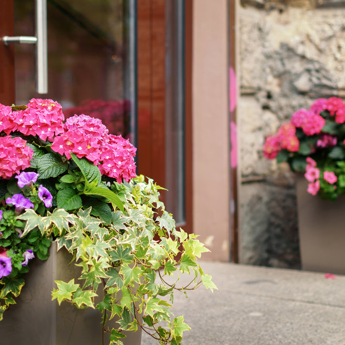 4 Small Front Porch Decorating Ideas