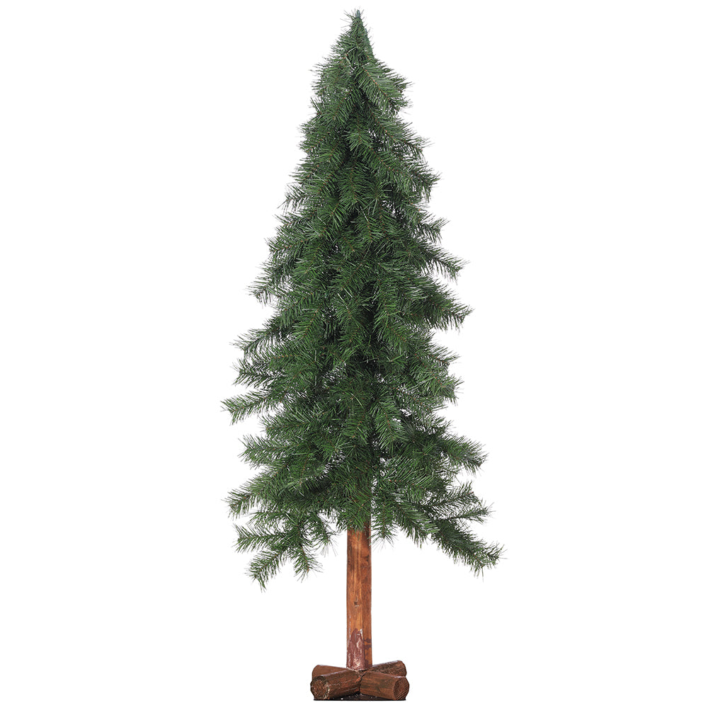 Accent & Display Trees