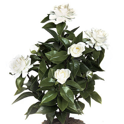 19" UV-Proof Outdoor Artificial Gardenia Flower Bush -White (pack of 6) - A0680