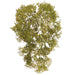 15" Artificial Moss Stem Pick -Green (pack of 12) - AAM568-GR