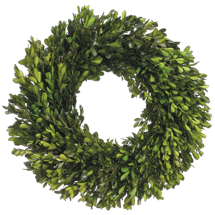 17" Preserved Boxwood Hanging Wreath -Green (pack of 2) - APS156-GR