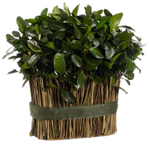 11.5" Preserved Tea Leaf Standing Bundle Topiary Plant (pack of 2) - APS205-GR