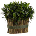 11.5" Preserved Tea Leaf Standing Bundle Topiary Plant (pack of 2) - APS205-GR