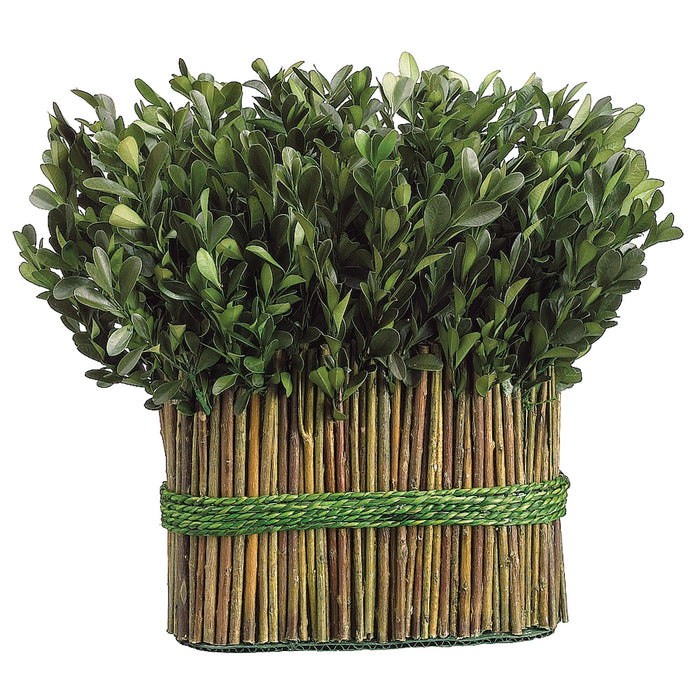 11.5" Preserved Boxwood Standing Bundle Topiary Plant (pack of 2) - APS220-GR