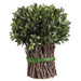 10" Preserved Boxwood Standing Bundle Topiary Plant (pack of 4) - APS230-GR