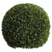 23" Preserved Boxwood Ball-Shaped Topiary - APS416-GR