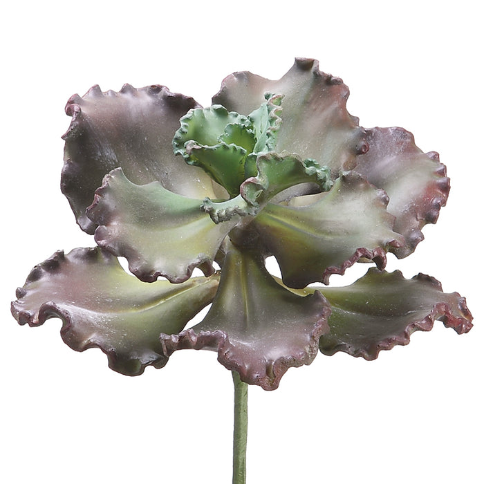 11" Real Touch Curly Echeveria Artificial Stem -Purple/Green (pack of 6) - CE2160-PU/GR