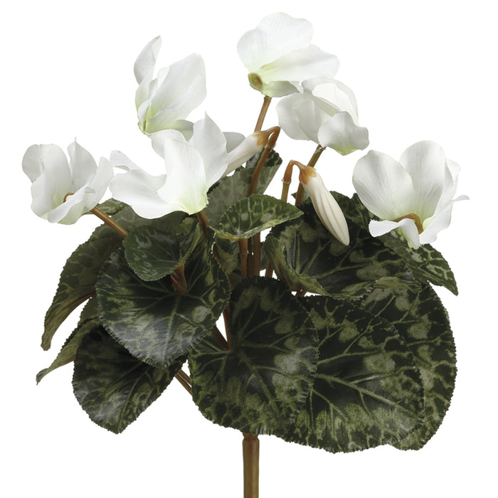 11" Silk Cyclamen Flower Bush -Cream/White (pack of 12) - FBC399-CR/WH