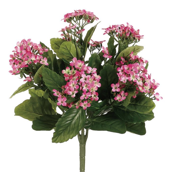 13.5" Silk Kalanchoe Flower Bush -2 Tone Pink (pack of 6) - FBK107-PK/TT