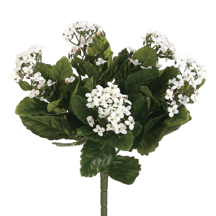 13.5" Silk Kalanchoe Flower Bush -White (pack of 6) - FBK107-WH