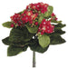 9" Silk Mini Kalanchoe Flower Bush -Red (pack of 12) - FBK383-RE