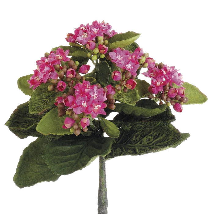 9" Silk Mini Kalanchoe Flower Bush -Rose (pack of 12) - FBK383-RO