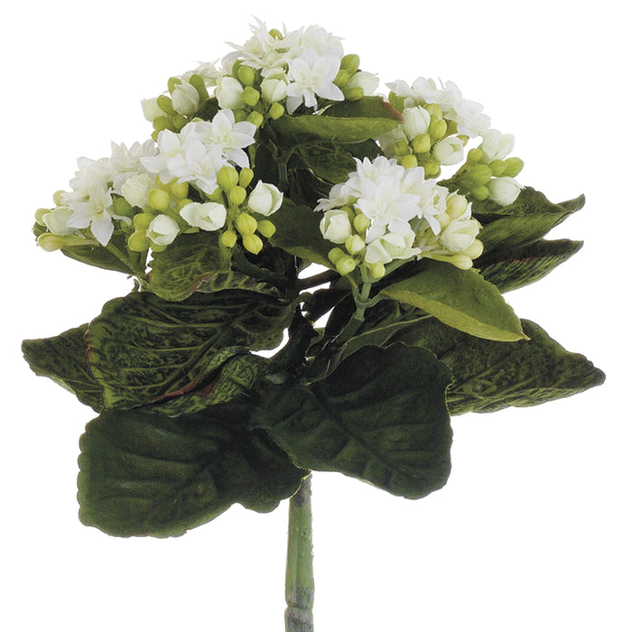 9" Silk Mini Kalanchoe Flower Bush -White (pack of 12) - FBK383-WH