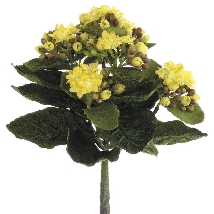 9" Silk Mini Kalanchoe Flower Bush -Yellow (pack of 12) - FBK383-YE