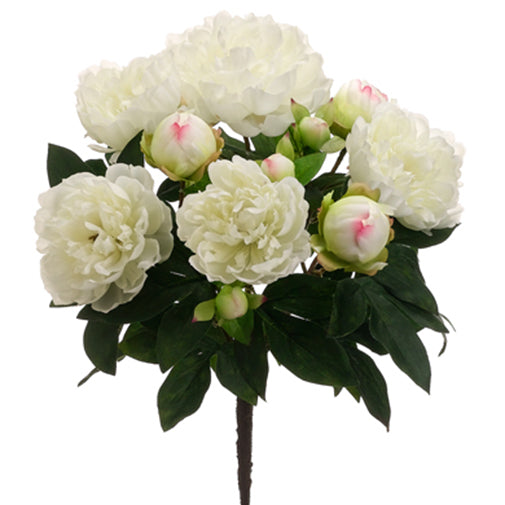 15" Silk Peony Flower Bush -Cream (pack of 12) - FBP511-CR