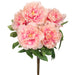 19" Silk Peony Flower Bush -Pink (pack of 6) - FBP722-PK