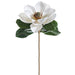 14" Silk Magnolia Flower Spray Pick -White (pack of 6) - FKM030-WH