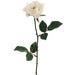 23" Silk Medium Planter Rose Flower Spray -Cream (pack of 12) - FR2007-CR