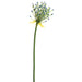 28" Agapanthus Bud Artificial Flower Stem -Purple/Green (pack of 12) - FSA028-PU/GR