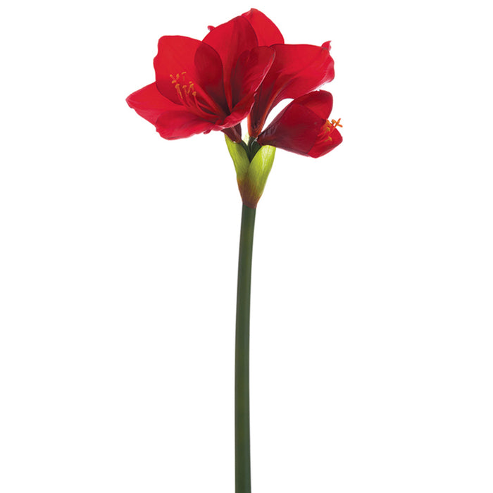 26" Amaryllis Silk Flower Stem -Red (pack of 12) - FSA053-RE