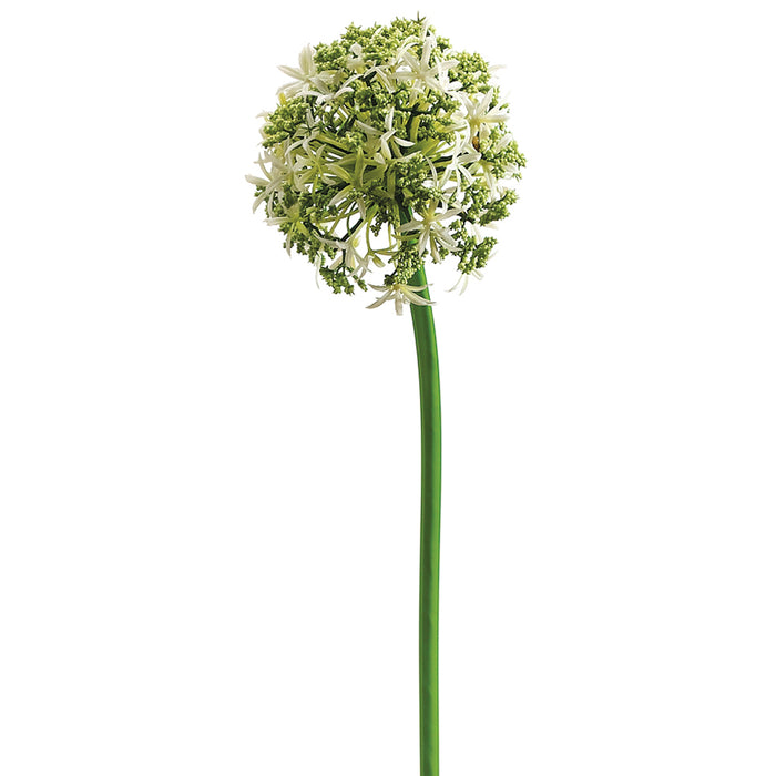 31" Silk Allium Flower Spray -Cream (pack of 12) - FSA084-CR