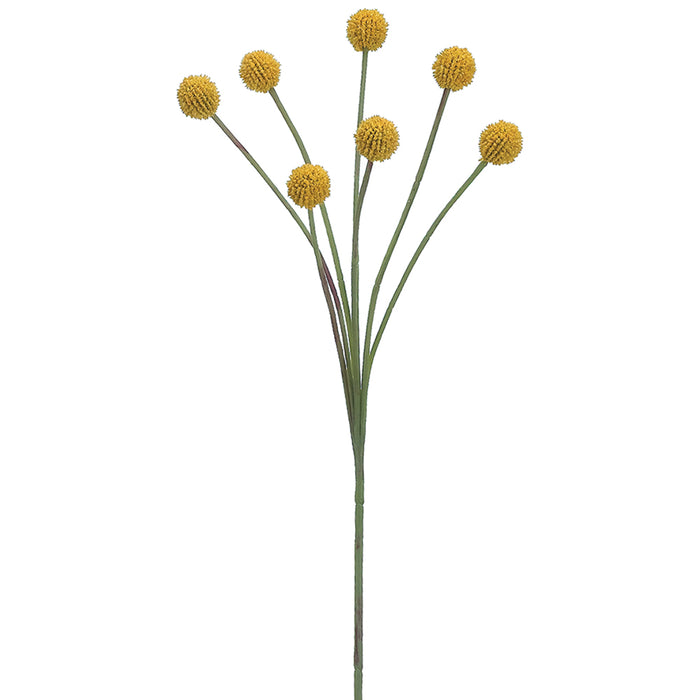 24" Silk Billy Button Craspedia Flower Spray -Yellow (pack of 12) - FSB018-YE