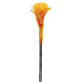 39" Silk African Bromeliad Flower Spray -2 Tone Yellow (pack of 12) - FSB620-YE/TT