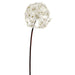 28" Silk Dandelion Flower Spray -Cream (pack of 6) - FSD075-CR