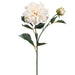 19.5" Silk Dahlia Flower Spray -Ivory (pack of 12) - FSD302-IV