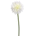 19" Dahlia Silk Flower Stem -White (pack of 12) - FSD411-WH