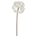 28" Silk Dandelion Flower Spray -Ivory (pack of 8) - FSD754-IV