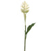 30.5" Silk Mini Ginger Flower Spray -Cream (pack of 12) - FSG601-CR
