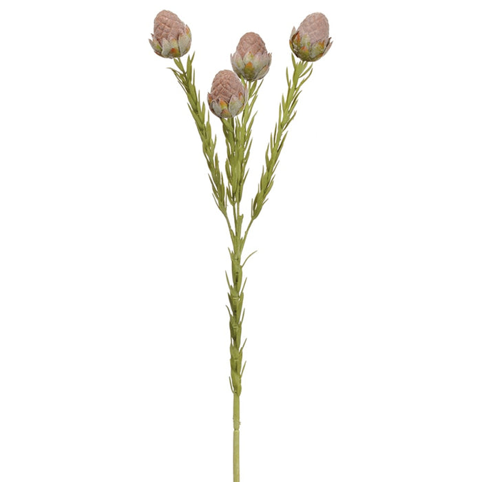 23.5" Leucadendron Berry Artificial Stem -Brown (pack of 12) - FSL203-BR