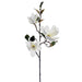 37" Silk Magnolia Flower Spray -Cream/White (pack of 6) - FSM417-CR/WH