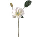 27" Magnolia Silk Flower Stem -Cream (pack of 6) - FSM576-CR