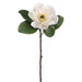 29" Silk Magnolia Flower Spray -Cream (pack of 12) - FSM605-CR