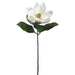 24" Silk Magnolia Flower Spray -Cream (pack of 12) - FSM703-CR