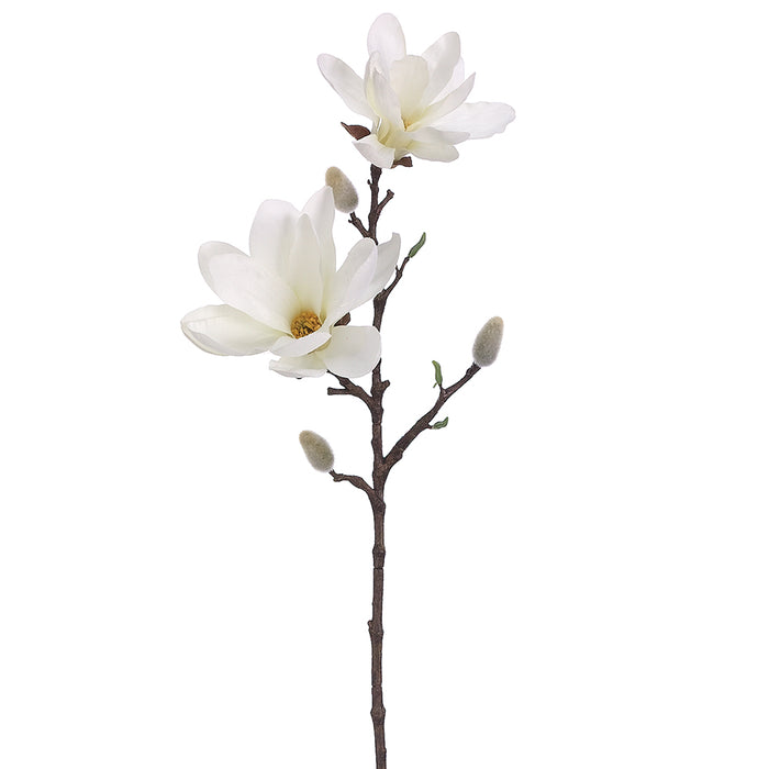 25" Silk Magnolia Bud Flower Spray -Cream (pack of 12) - FSM778-CR