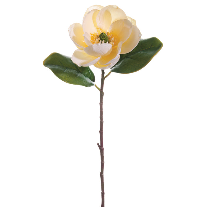 28.5" Silk Magnolia Flower Spray -Vanilla (pack of 12) - FSM900-VA