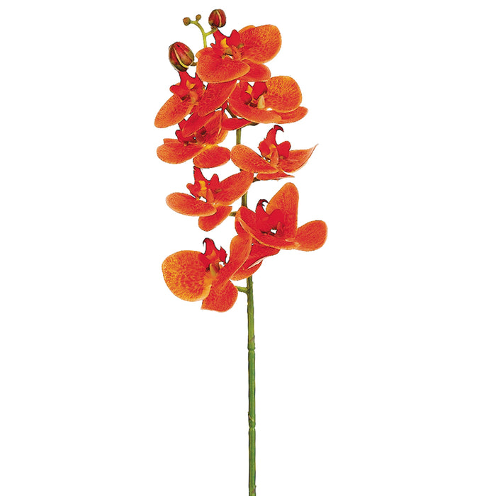 28" Silk Phalaenopsis Orchid Flower Spray -Orange (pack of 12) - FSO121-OR