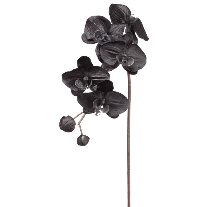 29" Phalaenopsis Orchid Silk Flower Stem -Black (pack of 12) - FSO205-BK