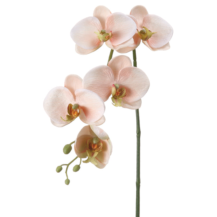 26" Silk Phalaenopsis Orchid Flower Spray -Peach/Cream (pack of 12) - FSO713-PE/CR