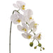 28.5" Silk Phalaenopsis Orchid Flower Spray -White (pack of 12) - FSO723-WH
