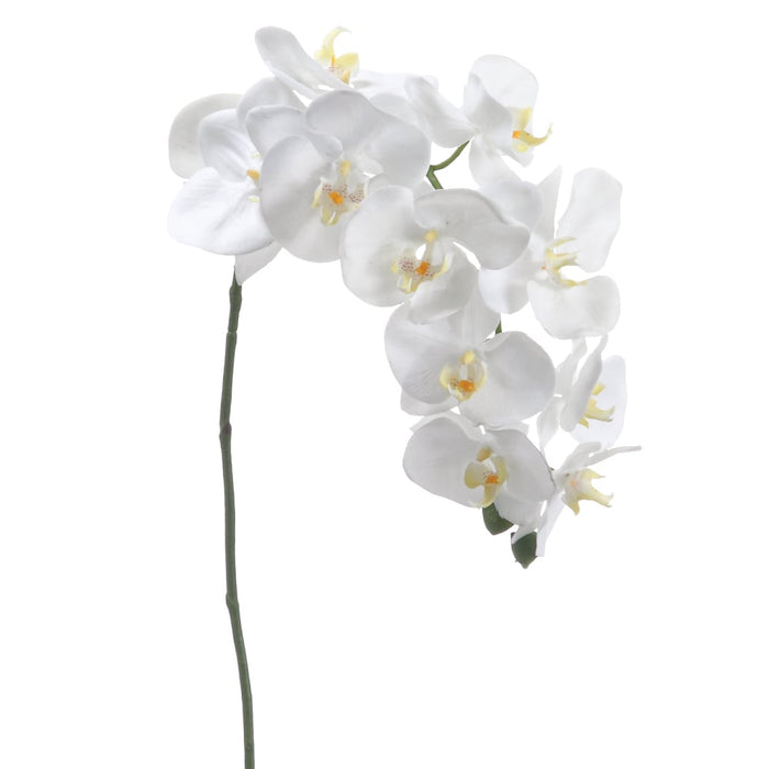 37" Silk Phalaenopsis Orchid Flower Spray -Cream (pack of 12) - FSO928-CR