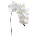 37" Silk Phalaenopsis Orchid Flower Spray -Cream (pack of 12) - FSO928-CR