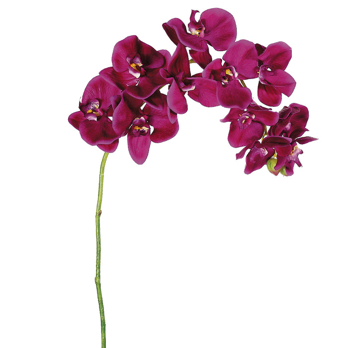 37" Silk Phalaenopsis Orchid Flower Spray -Violet (pack of 12) - FSO928-VI