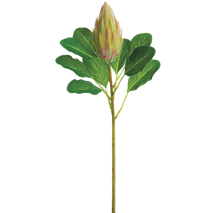 28.5" Protea Bud Silk Flower Stem -Green/Pink (pack of 12) - FSP007-GR/PK