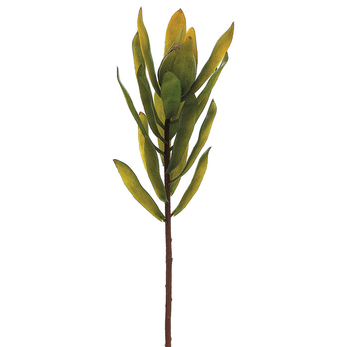 22" Silk Protea Flower Spray -Green (pack of 12) - FSP058-GR