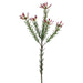 28.5" Silk Protea Flower Spray -Green/Plum (pack of 12) - FSP105-GR/PL