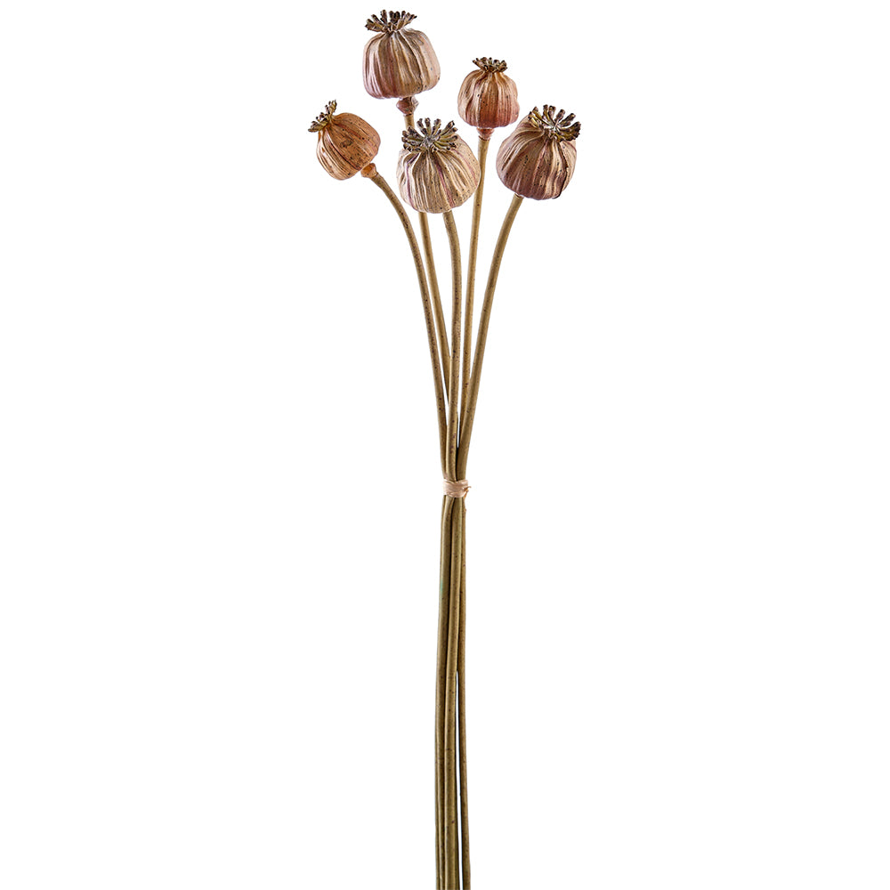 21.5" Artificial Poppy Pod Flower Stem Bundle -Light Brown (pack of 12) - FSP374-BR/LT